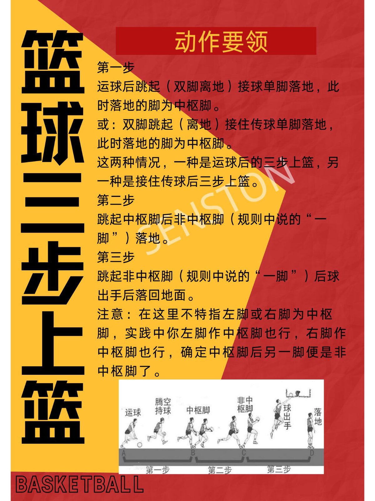 篮球基本动作训练教程图解